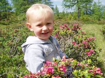 Apartamento Ferienwohnung Kerschbaumer