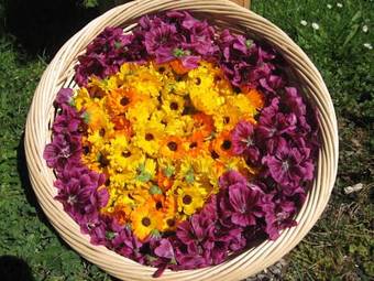 Apartamento Bergbauernhof Untermoos