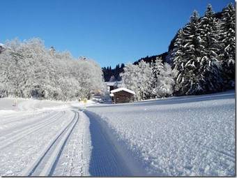 Apartamento Haus Nagele