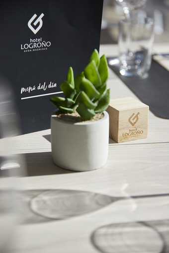 Iraipe Logro�o Hotel