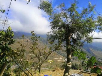 Tavan Ecogreen Homestay