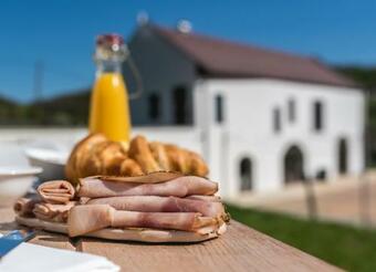 Hostal Thetis Birtok