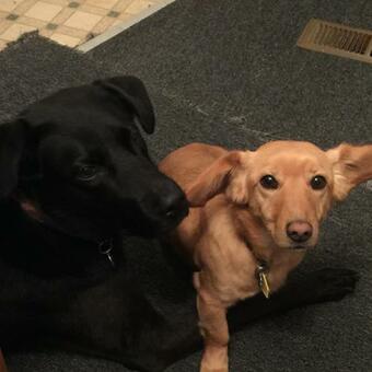 Leah's Homestay In Hoquiam