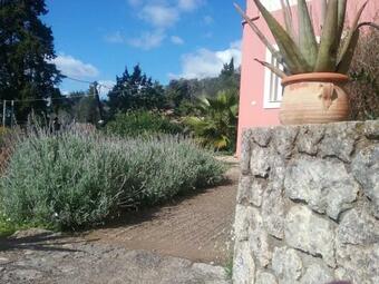 Apartamento Olive Luxouri