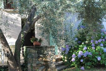 Chambres D'h�tes Le Clos Des Oliviers