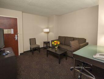 Holiday Inn Express Hotel & Suites Buffalo-airport
