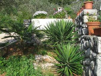 Apartments Ljubo & Lili