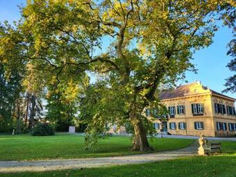 Bed & Breakfast Palais Kneissl (herrenhaus Burgau)