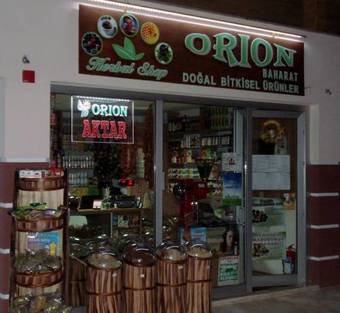 Hostal Orion Konukevi