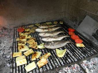 Olive Garden Apartments