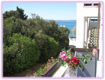 Hostal Guesthouse Lisica