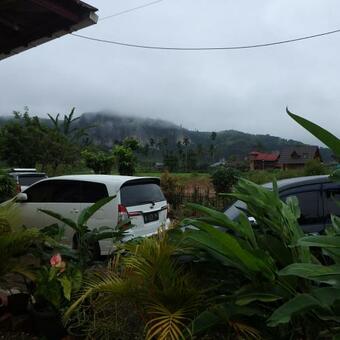 The Novi Harau