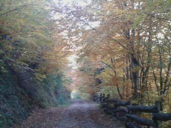 Agroturismo Casa Cuevas