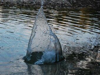 Agroturismo La Posada Del Arba