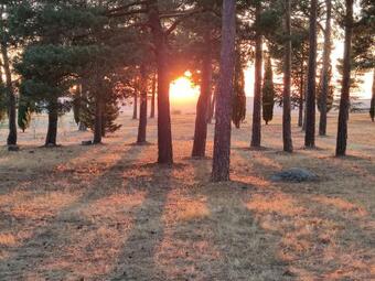 Apartamento El Pinarillo