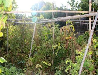 Cortijo La Torre De Caniles