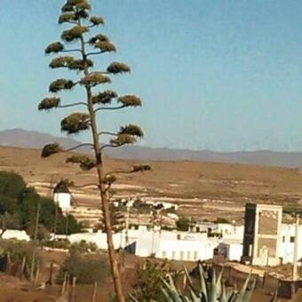 Casa Rural El Jazminero