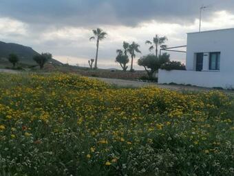 Apartamentos Madre Selva