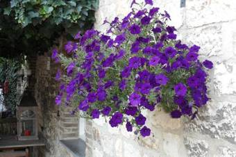 Holiday Homes Gillishof