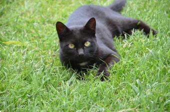 Agroturismo Casa Llovet