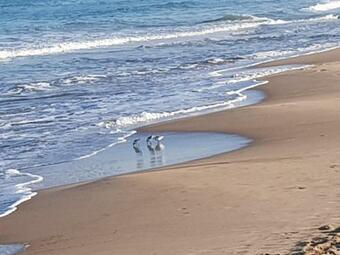 Exclusive Apartment - Playa De Marenys De Rafalcaid