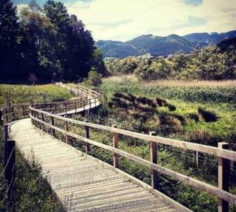 Apartamento Vivienda Tur�stica Museti