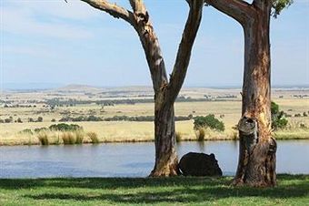 Bed & Breakfast Tuki Retreat