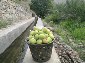 Hostal Basmat Almisfah