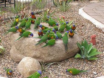 Aparthotel Island Leisure Resort