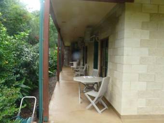 Curtain Fig Tree Motel