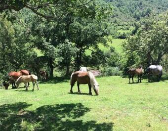 Casa El Eden De Cameros