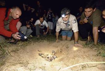 Aparthotel Koola Beach Apartments Bargara