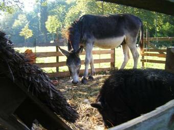 Apartamento El Mol� D'en Sol�-allotjaments Rurals