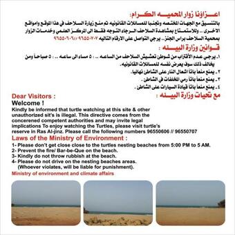 Hostal Turtle Guest House