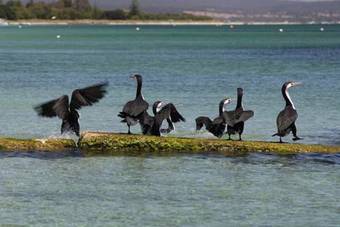 Hotel Siesta Park Holiday Resort