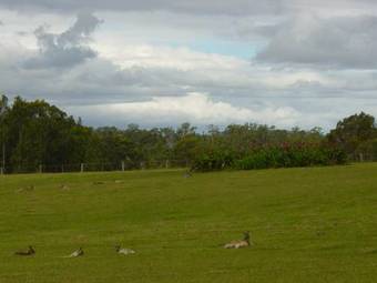 Belvoir B&B Cottages