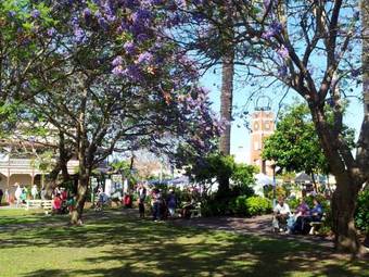 Andavine House - Bed & Breakfast