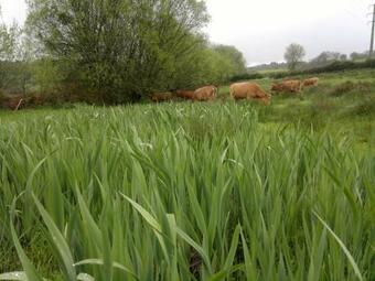Casa Do Pacio Sabadelle