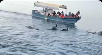 Apartamento ??? ???? ??????