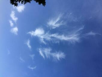 Apartamento Appartement D�ringerhof