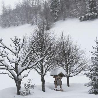 Hostal Berghof Am Schwand