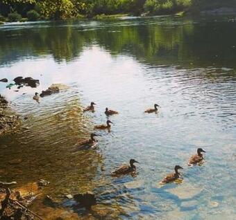 Villa Emrah River UNA