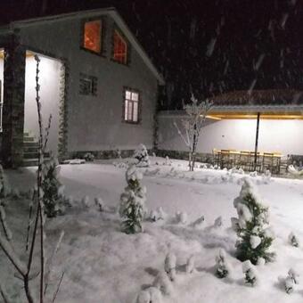 C�lyan-dak? Eviniz