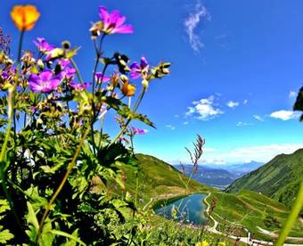 Hostal Pension Gatterhof