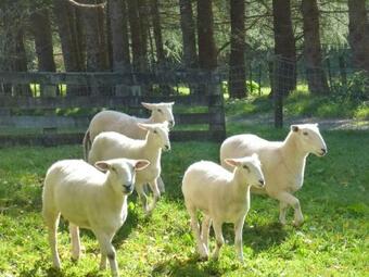 Agroturismo Idyllic Country Garden