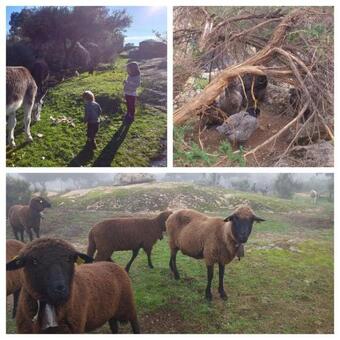 Agroturismo Albergue La Jarilla