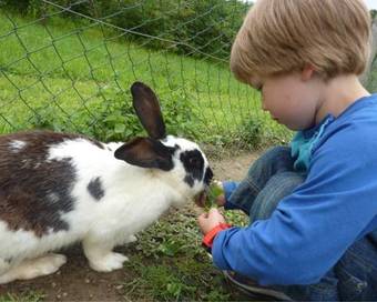 Agroturismo Bauernhof Grain
