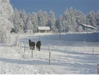 Hostal Eidenberger Alm