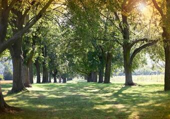 Apartamento Vinn� Skl�pek Blatnice