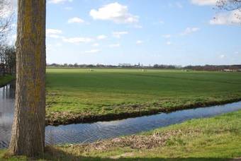 Fred's Bed And Breakfast